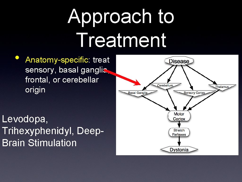  • Approach to Treatment Anatomy-specific: treat sensory, basal ganglia, frontal, or cerebellar origin