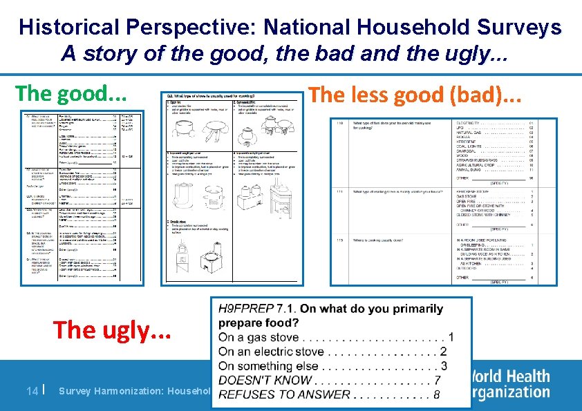 Historical Perspective: National Household Surveys A story of the good, the bad and the