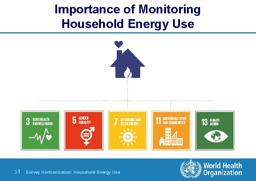 Importance of Monitoring Household Energy Use 3 | Survey Harmonization: Household Energy Use 