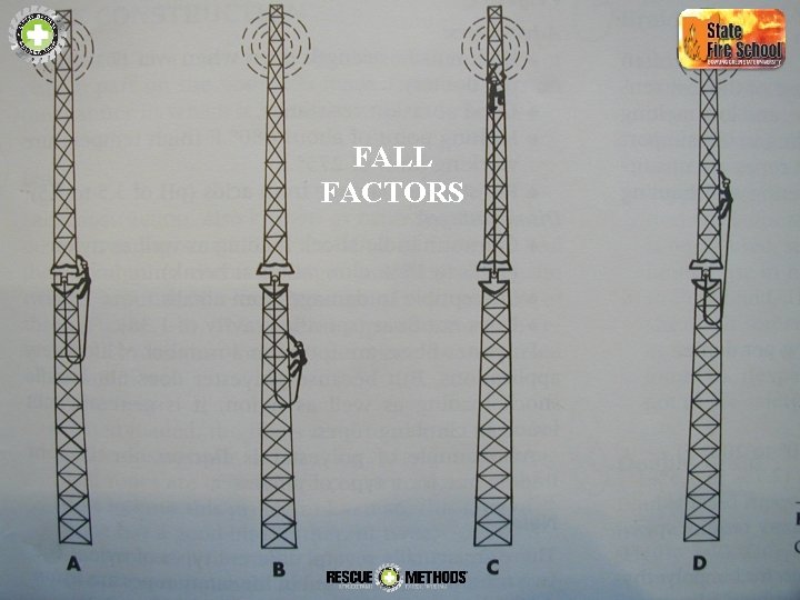 FALL FACTORS 