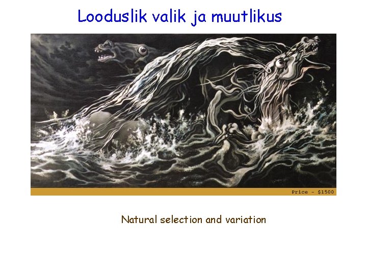 Looduslik valik ja muutlikus Natural selection and variation Looduslik valik ja muutlikus Natural selection and variation