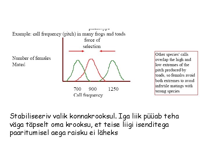 Stabiliseeriv valik konnakrooksul. Iga liik püüab teha väga täpselt oma krooksu, et teise liigi Stabiliseeriv valik konnakrooksul. Iga liik püüab teha väga täpselt oma krooksu, et teise liigi