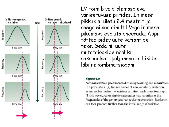 LV toimib vaid olemasoleva varieeruvuse piirides. Inimese pikkus ei ületa 2. 4 meetrit ja LV toimib vaid olemasoleva varieeruvuse piirides. Inimese pikkus ei ületa 2. 4 meetrit ja