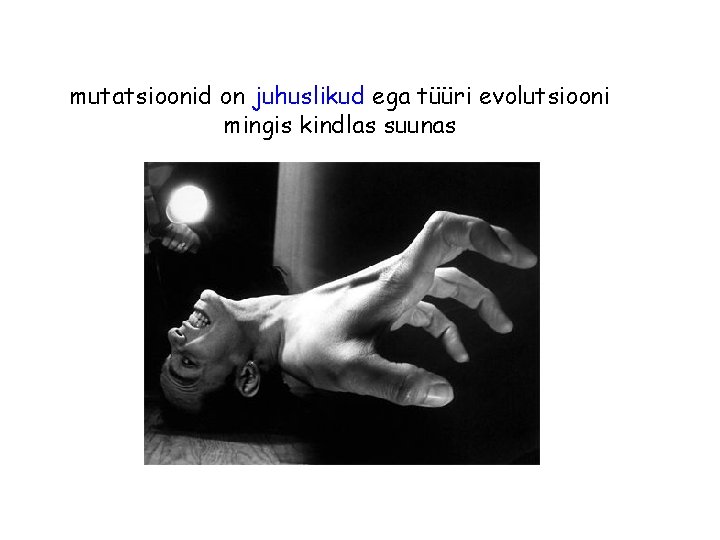 mutatsioonid on juhuslikud ega tüüri evolutsiooni mingis kindlas suunas mutatsioonid on juhuslikud ega tüüri evolutsiooni mingis kindlas suunas
