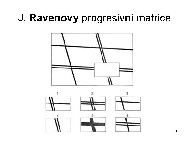 J. Ravenovy progresivní matrice 46 