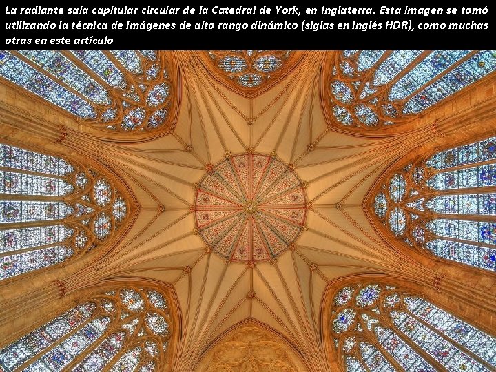 La radiante sala capitular circular de la Catedral de York, en Inglaterra. Esta imagen