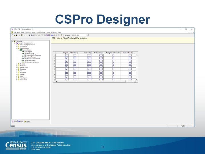 CSPro Designer 13 