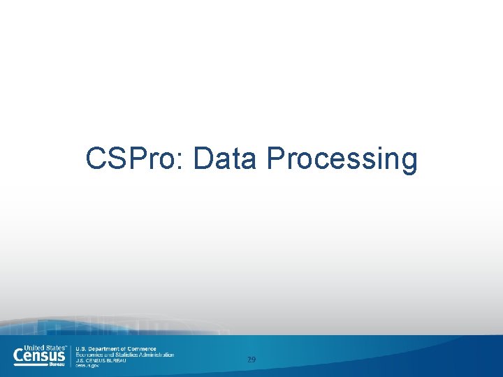 CSPro: Data Processing 29 