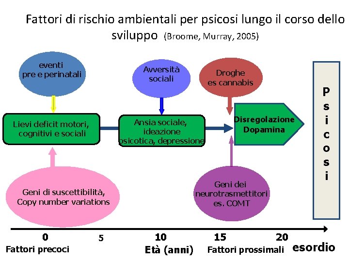 Fattori di rischio ambientali per psicosi lungo il corso dello sviluppo (Broome, Murray, 2005)