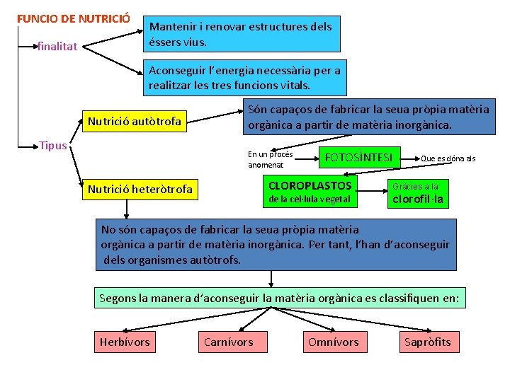 FUNCIO DE NUTRICIÓ finalitat Mantenir i renovar estructures dels éssers vius. Aconseguir l’energia necessària