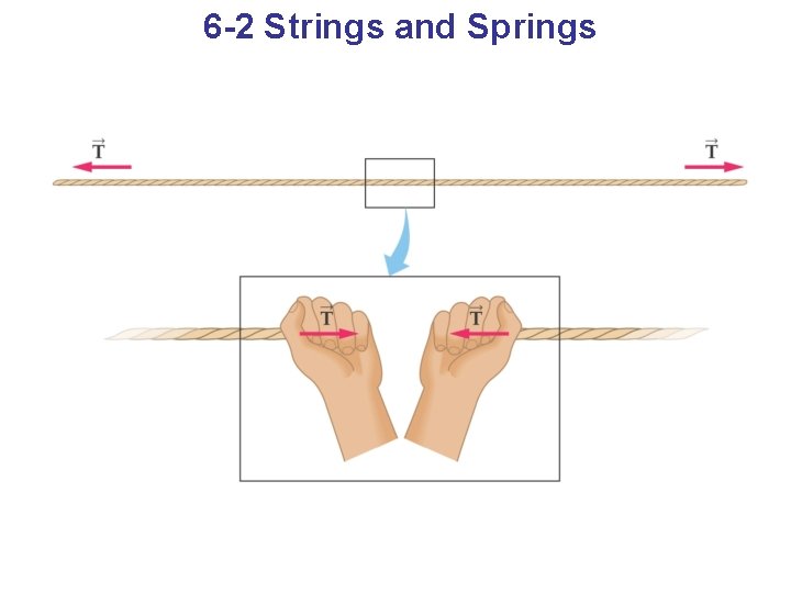 6 -2 Strings and Springs 6 -2 Strings and Springs