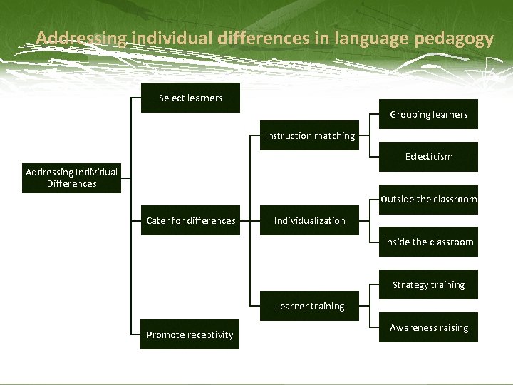 Addressing individual differences in language pedagogy Select learners Grouping learners Instruction matching Eclecticism Addressing