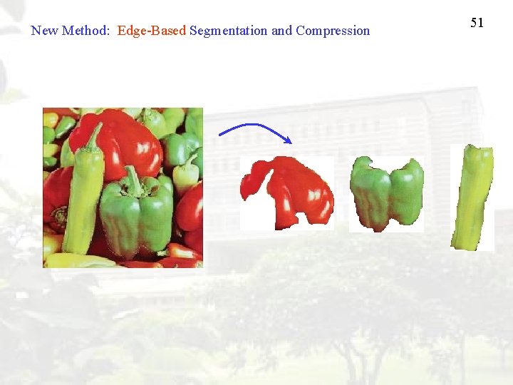 New Method: Edge-Based Segmentation and Compression 51 