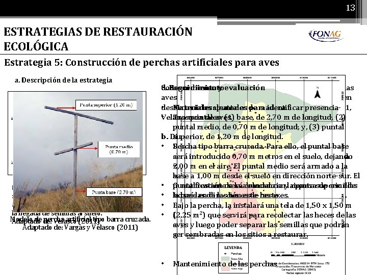 13 ESTRATEGIAS DE RESTAURACIÓN ECOLÓGICA Estrategia 5: Construcción de perchas artificiales para aves a.