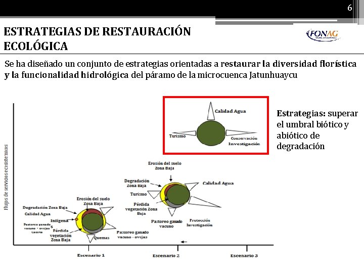 6 ESTRATEGIAS DE RESTAURACIÓN ECOLÓGICA Se ha diseñado un conjunto de estrategias orientadas a