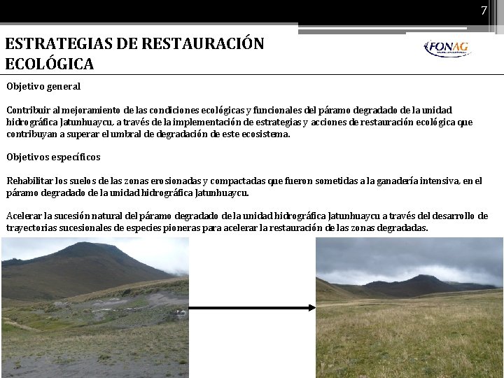 7 ESTRATEGIAS DE RESTAURACIÓN ECOLÓGICA Objetivo general Contribuir al mejoramiento de las condiciones ecológicas