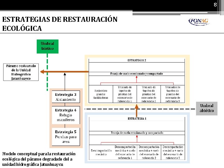 8 ESTRATEGIAS DE RESTAURACIÓN ECOLÓGICA Modelo conceptual para la restauración ecológica del páramo degradado