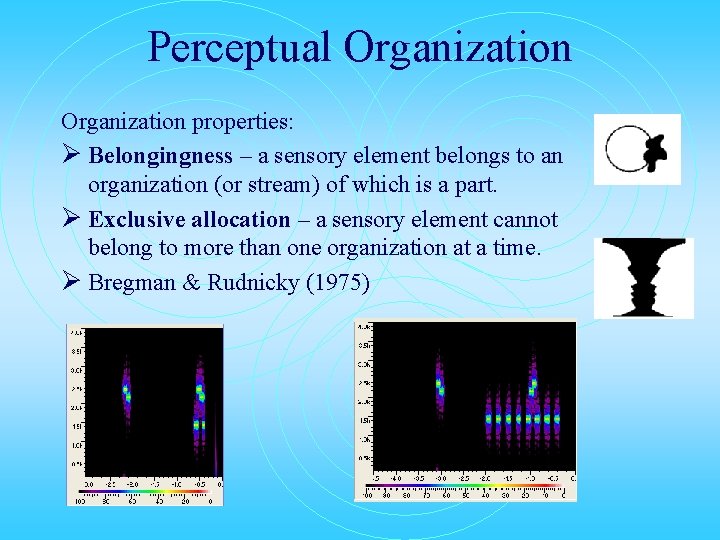 Perceptual Organization properties: Ø Belongingness – a sensory element belongs to an organization (or