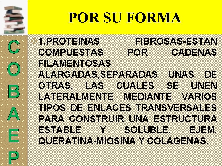 POR SU FORMA C O B A E P v 1. PROTEINAS FIBROSAS-ESTAN COMPUESTAS