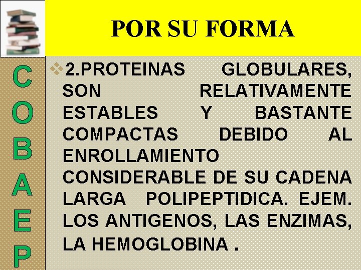 POR SU FORMA C O B A E P v 2. PROTEINAS GLOBULARES, SON