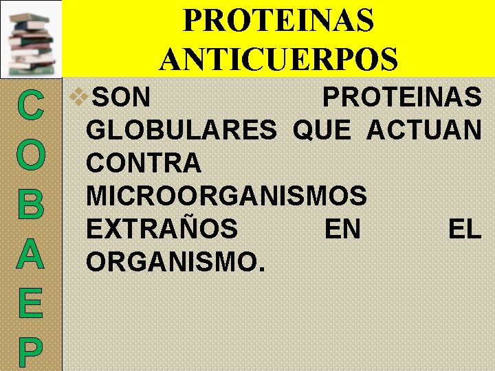 PROTEINAS ANTICUERPOS C O B A E P v. SON PROTEINAS GLOBULARES QUE ACTUAN