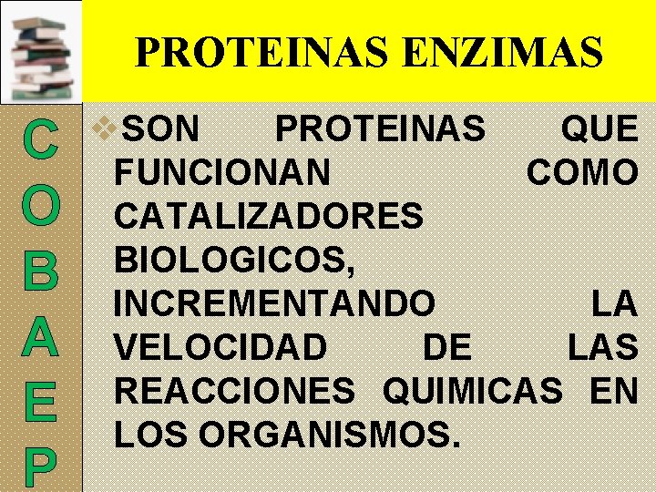 PROTEINAS ENZIMAS C O B A E P v. SON PROTEINAS QUE FUNCIONAN COMO