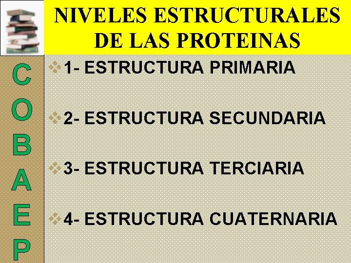 NIVELES ESTRUCTURALES DE LAS PROTEINAS C O B A E P v 1 -