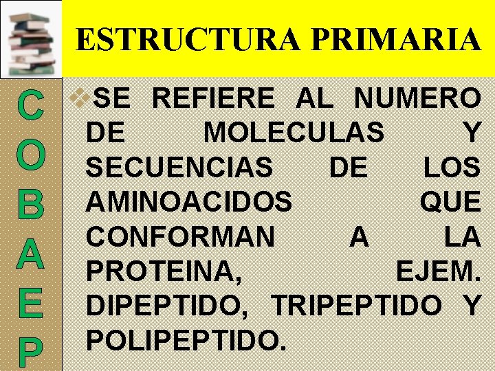 ESTRUCTURA PRIMARIA C O B A E P v. SE REFIERE AL NUMERO DE
