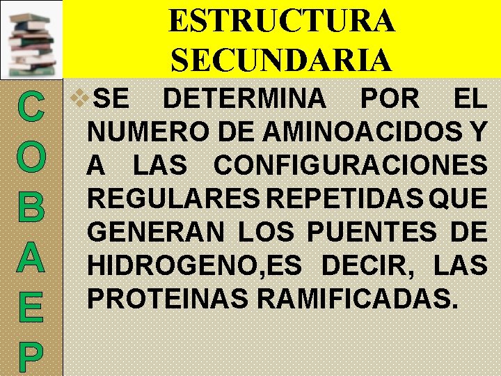 ESTRUCTURA SECUNDARIA C O B A E P v. SE DETERMINA POR EL NUMERO