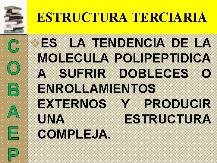 ESTRUCTURA TERCIARIA C O B A E P v. ES LA TENDENCIA DE LA