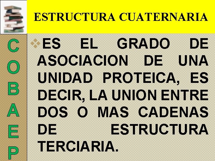 ESTRUCTURA CUATERNARIA C v. ES EL GRADO DE ASOCIACION DE UNA O UNIDAD PROTEICA,