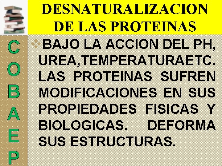 DESNATURALIZACION DE LAS PROTEINAS C O B A E P v. BAJO LA ACCION