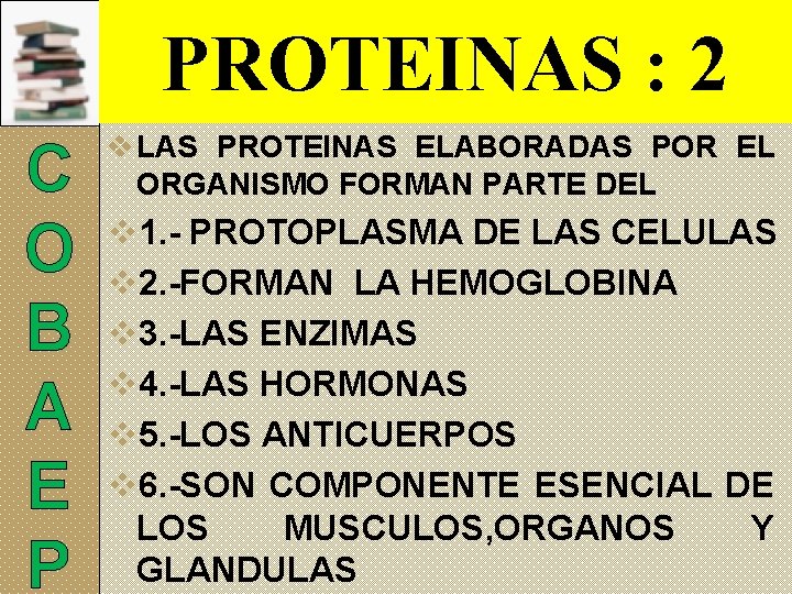 PROTEINAS : 2 C O B A E P v LAS PROTEINAS ELABORADAS POR