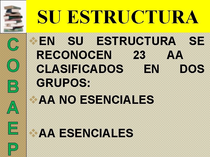 SU ESTRUCTURA C O B A E P v. EN SU ESTRUCTURA SE RECONOCEN