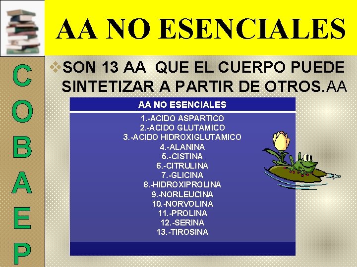 AA NO ESENCIALES C O B A E P v. SON 13 AA QUE