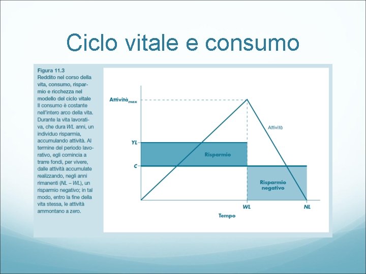 Ciclo vitale e consumo 