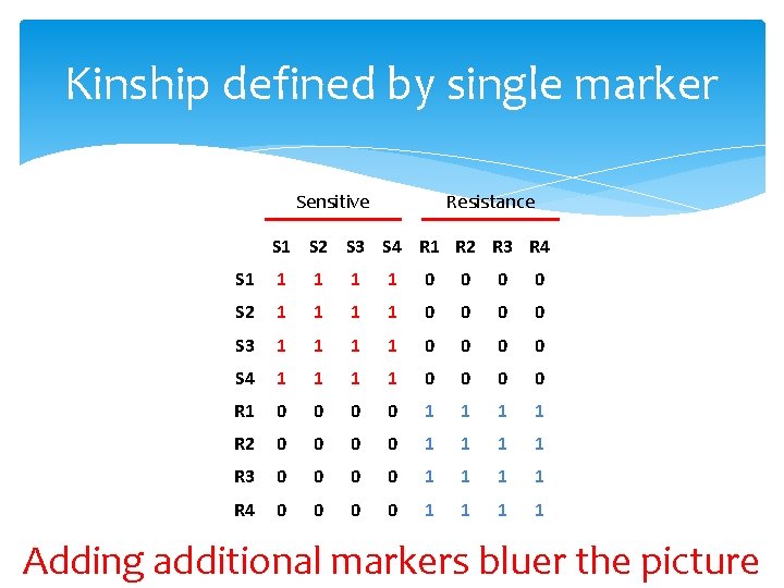 Kinship defined by single marker Sensitive Resistance S 1 S 2 S 3 S