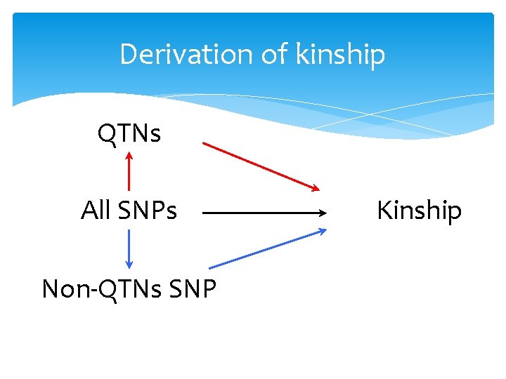 Derivation of kinship QTNs All SNPs Non-QTNs SNP Kinship 