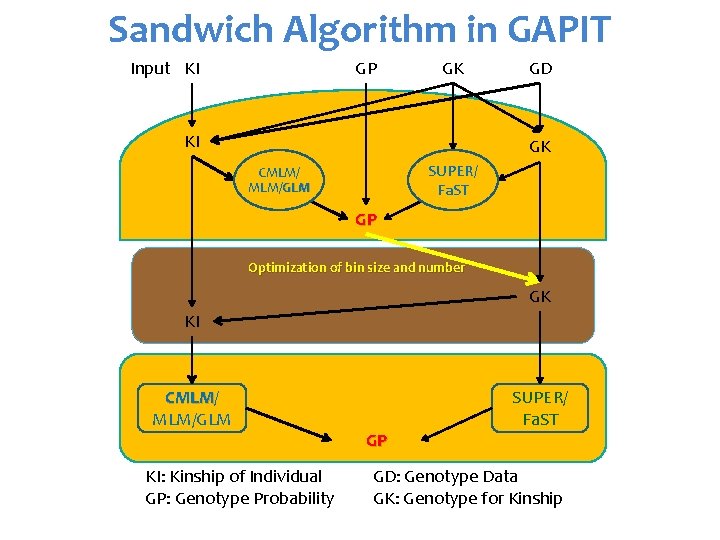 Sandwich Algorithm in GAPIT Input KI GP GK KI GD GK SUPER/ Fa. ST