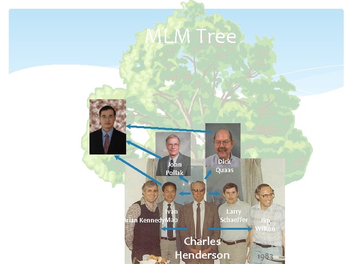 MLM Tree John Pollak Ivan Brian Kennedy. Mao Dick Quaas Larry Schaeffer Charles Henderson