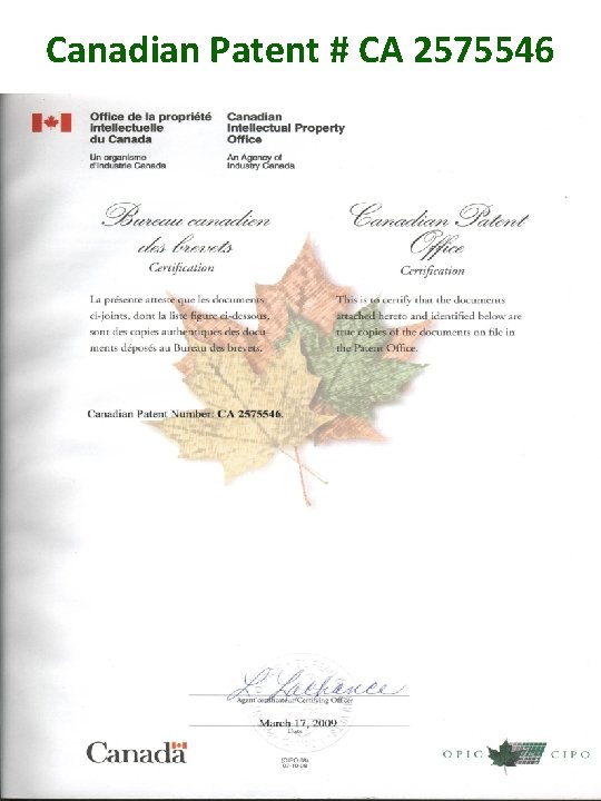 Canadian Patent # CA 2575546 