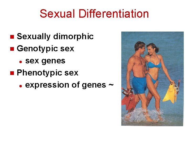 Sexual Differentiation Sexually dimorphic n Genotypic sex l sex genes n Phenotypic sex l