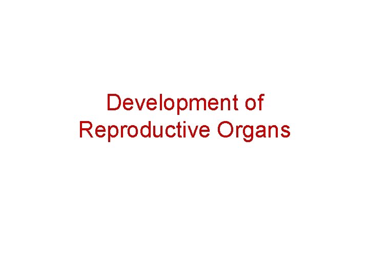 Development of Reproductive Organs 