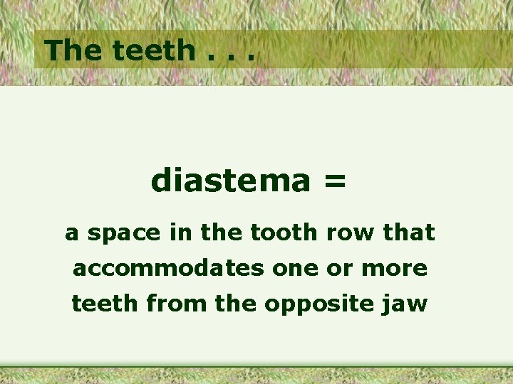 The teeth. . . diastema = a space in the tooth row that accommodates