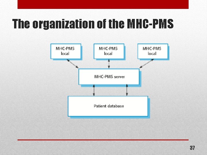 The organization of the MHC-PMS 37 