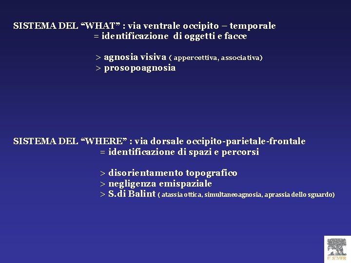 SISTEMA DEL “WHAT” : via ventrale occipito – temporale = identificazione di oggetti e