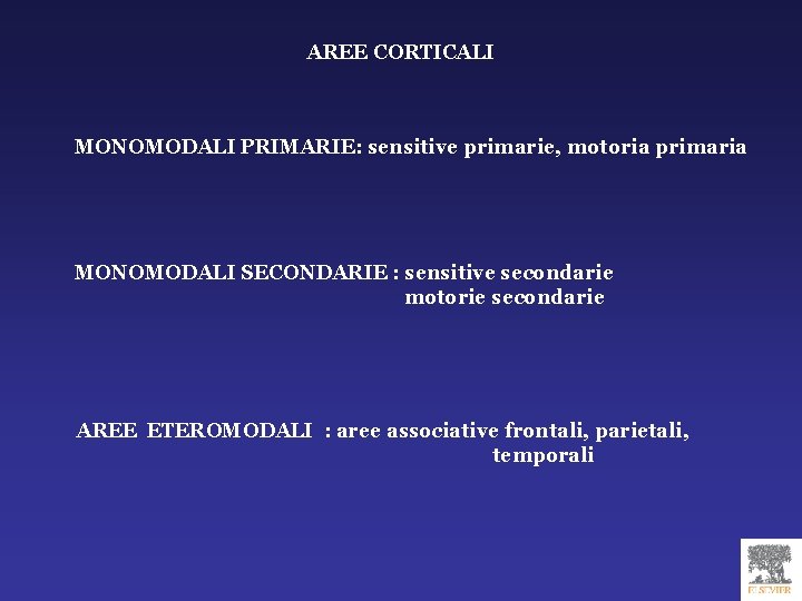 AREE CORTICALI MONOMODALI PRIMARIE: sensitive primarie, motoria primaria MONOMODALI SECONDARIE : sensitive secondarie motorie