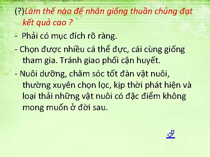 (? )Làm thế nào để nhân giống thuần chủng đạt kết quả cao ?