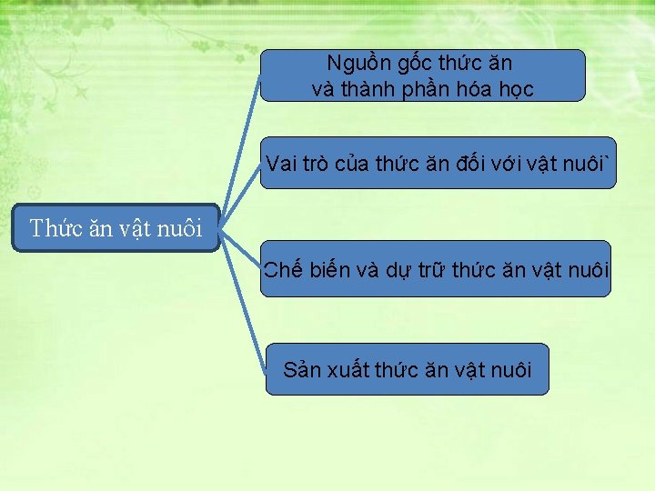 Nguồn gốc thức ăn và thành phần hóa học Vai trò của thức ăn Nguồn gốc thức ăn và thành phần hóa học Vai trò của thức ăn
