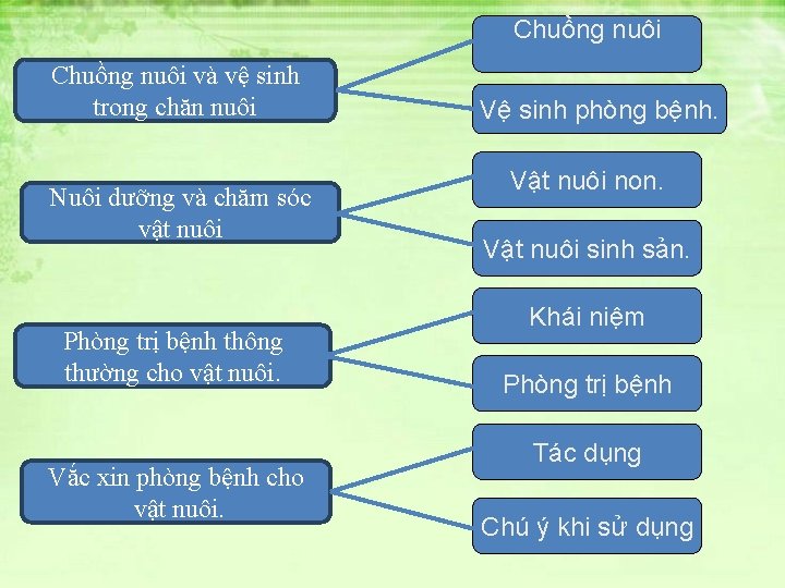 Chuồng nuôi và vệ sinh trong chăn nuôi Nuôi dưỡng và chăm sóc vật